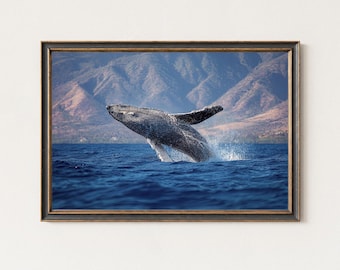 Humpback Whale Photography Print – Breaching Ocean Wildlife Art