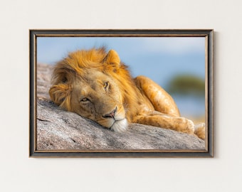 ライオンの攻撃、野生動物をテーマにしたアートプリント - Etsy 日本