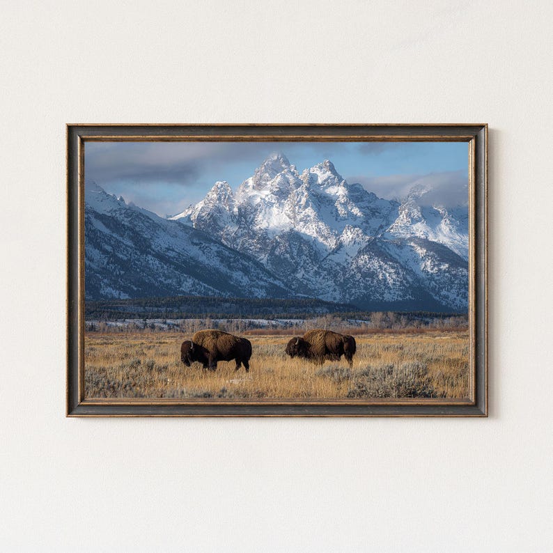 Grand Teton Bison Wyoming Snowy Mountain Landscape Wall Art Print - Etsy