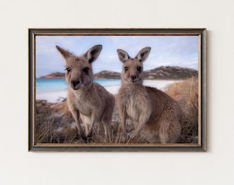 Wydruk fotograficzny „Kangur Duo” – Australijska dzika przyroda na ścianie