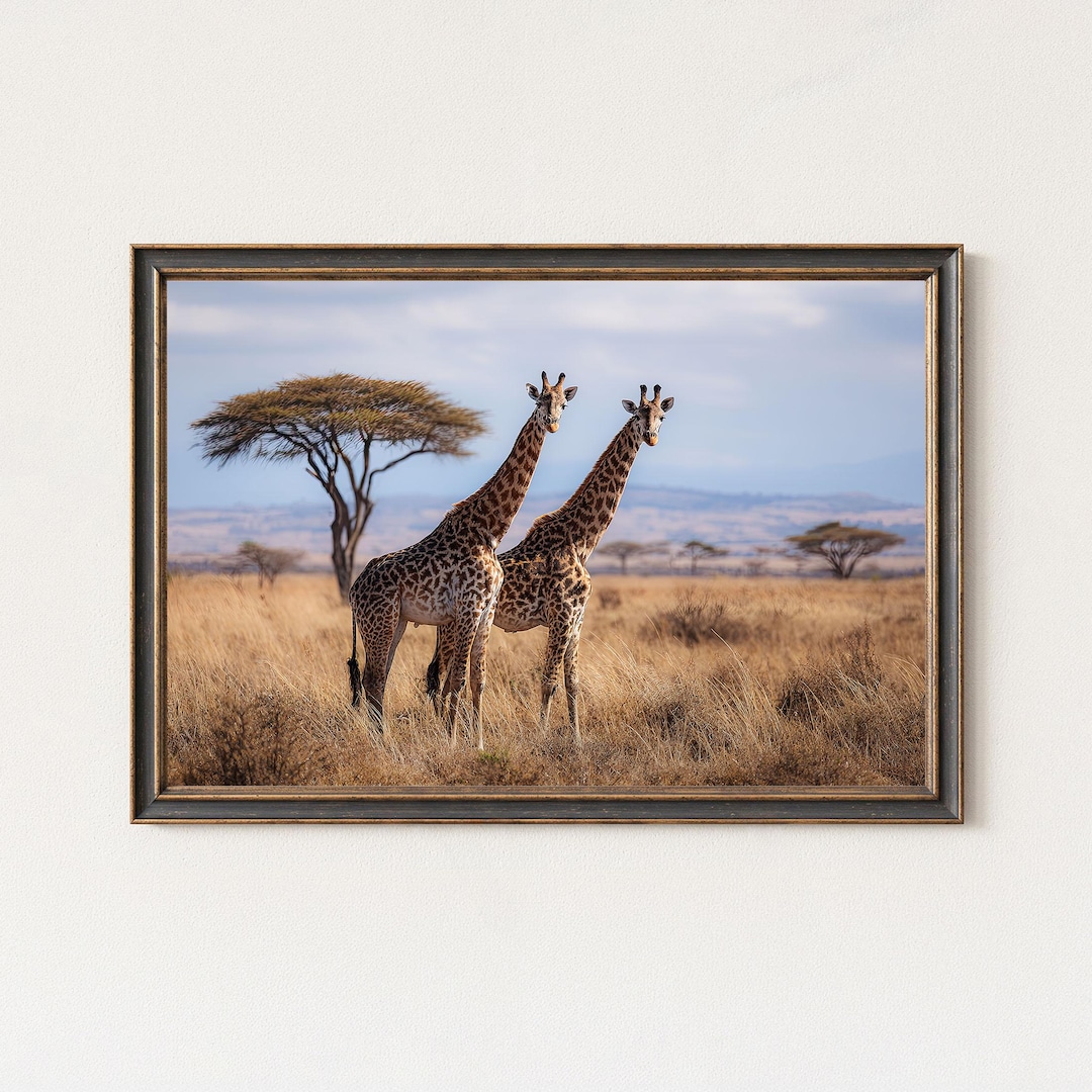 Giraffe Safari Photography Print – Serengeti Wildlife Wall Art - Etsy
