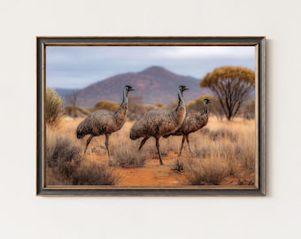 Emu-Trio Fotografie Druck - Australische Outback Wildtier-Wandkunst