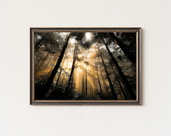 Mystic Forest Sunrise Print, Golden Sun Rays, Woodland Wall Art
