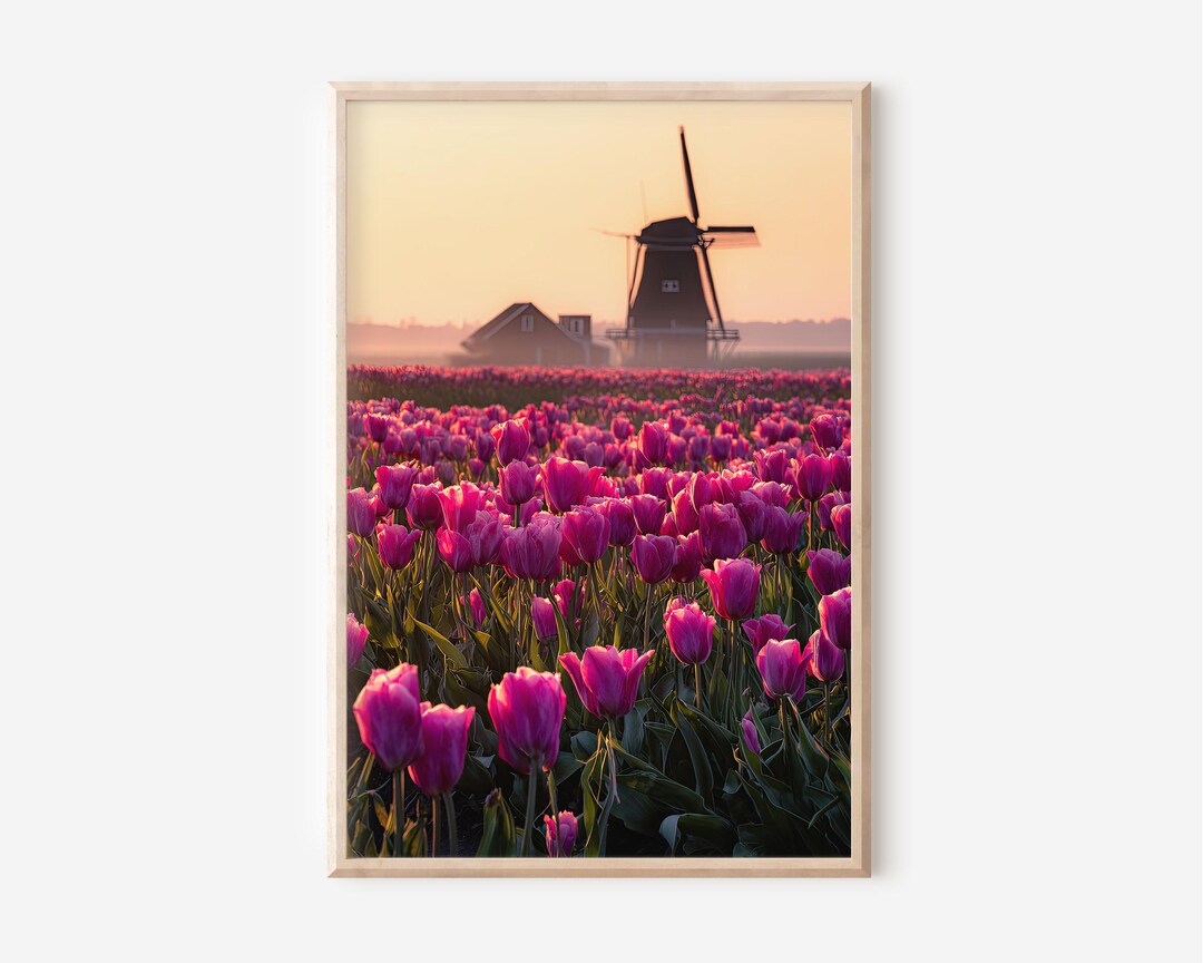 Dutch Tulip Field Print, Windmill Landscape, Floral Wall Art - Etsy