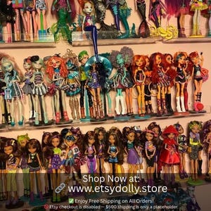 Un sacco enorme di bambole Monster High e Ever After High