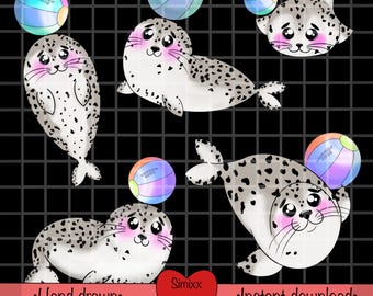 Kawaii seal clipart png 300 DPI Instant Download seal sublimation design seal digital print seal clipart bundle seal printable