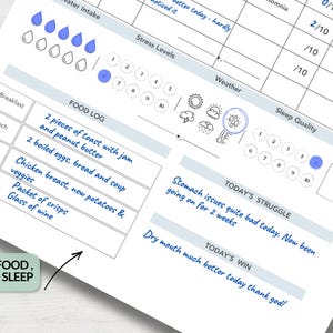 Menopause Tracker, Printable Perimenopause Log, Symptom Chart, PDF image 4