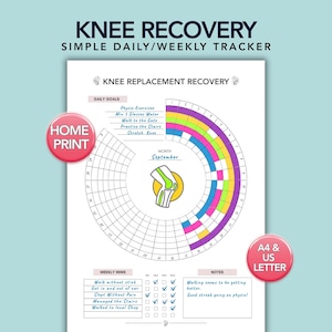 May include: A knee recovery tracker with the text "KNEE RECOVERY SIMPLE DAILY/WEEKLY TRACKER." The document features daily goals, weekly wins, and a notes section. A colourful circular chart is in the centre, with the month of September labelled.