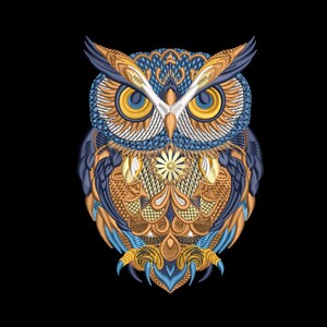 May include: A detailed, embroidered owl design in shades of blue, gold, and orange against a black background. The owl features intricate patterns and textures, with large yellow eyes and sharp talons. The artwork showcases a variety of stitching techniques.