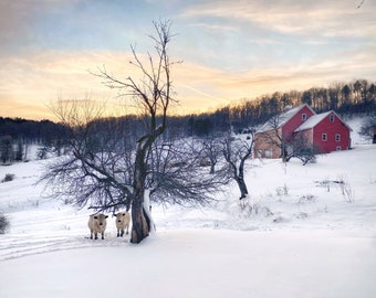 Vermont Hillside Farm at Sunset