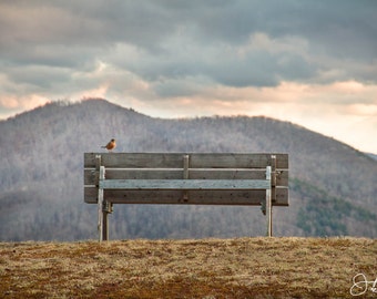 A Robin and the Mountains Print