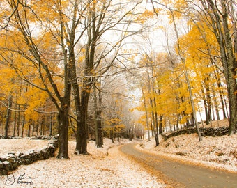 Maple Lined Country Road in Vermont Print