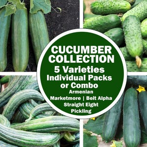 Cucumber Seeds | Marketmore 76, Beit Alpha, Straight Eight, Armenian Striped, Boston Pickling | Organic, Non-GMO Individual or Combo Pack