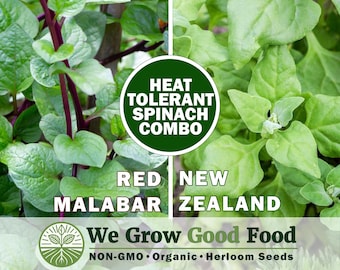 Heat Tolerant Spinach Seed Combo | Red Malabar & New Zealand | 2-Pack Kit