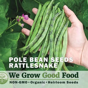 May include: A hand holding a bundle of fresh, green Rattlesnake pole beans, with dark streaks. The image is set against a backdrop of lush green leaves and a few small pink flowers. Text reads "Pole Bean Seeds Rattlesnake" and "We Grow Good Food".