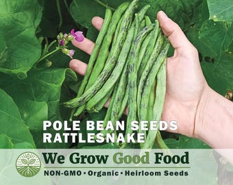Rattlesnake Pole Bean Seeds | Organic Heirloom Climbing Bean