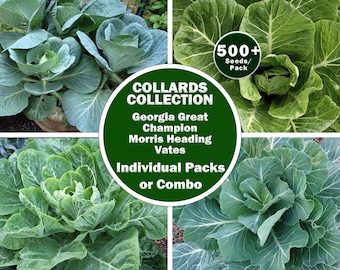 Heirloom Collard Seeds | Champion, Georgia Great, Morris Heading, Vates