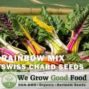 May include: Bundles of rainbow Swiss chard with vibrant stems in shades of red, yellow, and orange, and green leaves. The image includes text that reads "RAINBOW MIX SWISS CHARD SEEDS" and "We Grow Good Food".