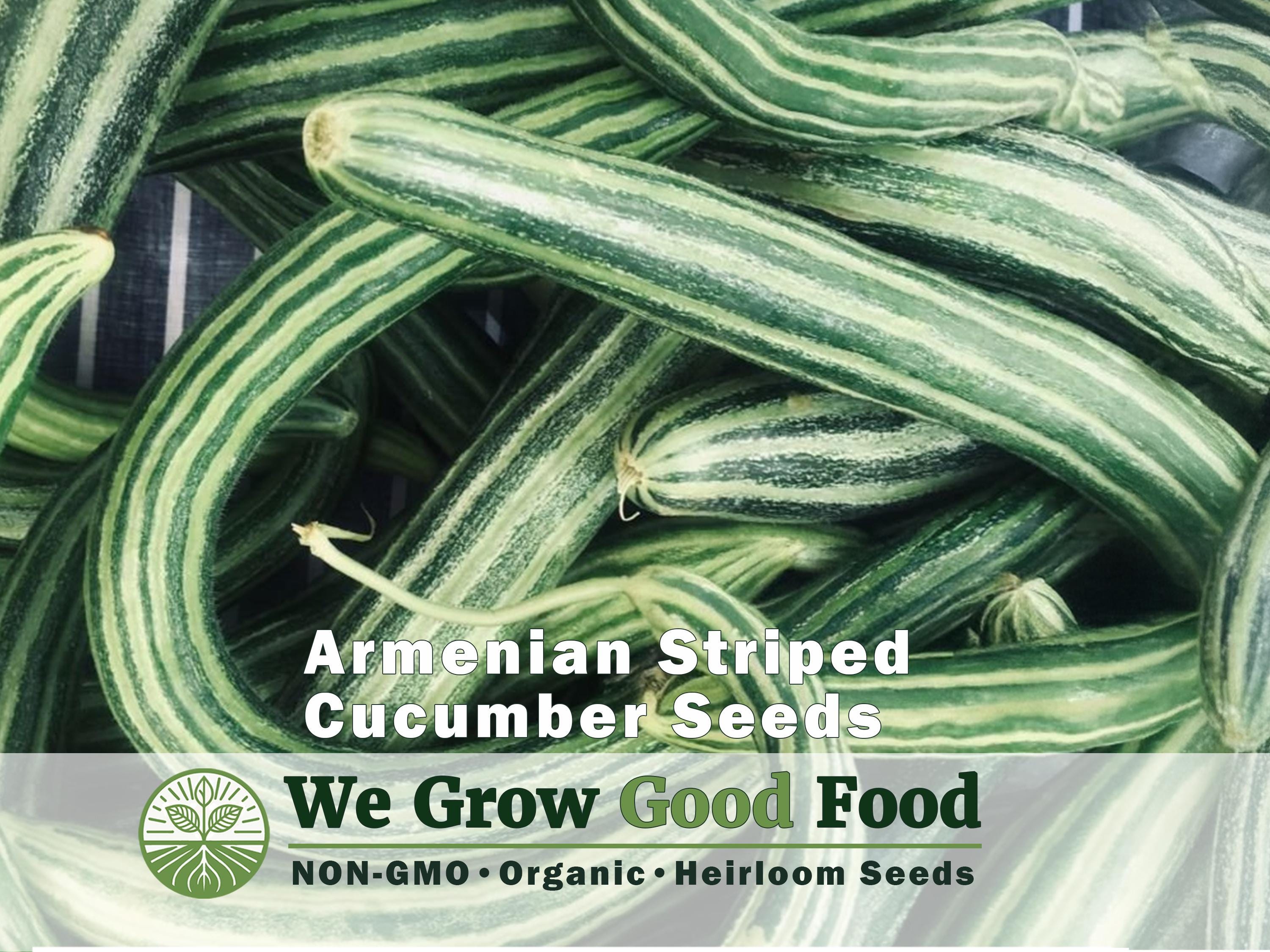 Armenian Striped Cucumber Seeds (striped Serpent) – Heirloom Yard-long