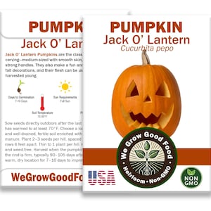 Jack O' Lantern Pumpkin Seeds – Classic Carving Variety, Organic, Heirloom, Non-GMO