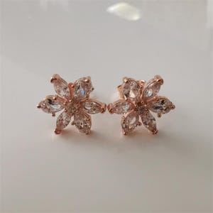 Pandora Sparkling Herbarium Cluster Stud Earrings