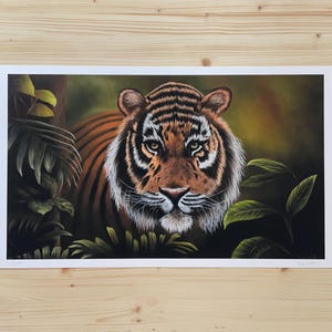 Ein Tiger als Kunstdruck, entstanden nach meinem Ölgemälde