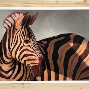 Fine Art Print of a Zebra created from my oil painting artwork