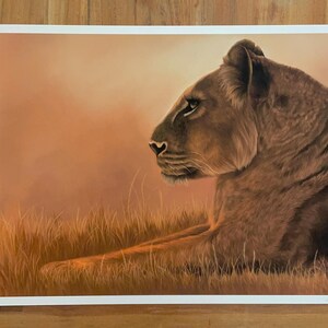 Fine Art Print of a Lioness created from my oil painting artwork