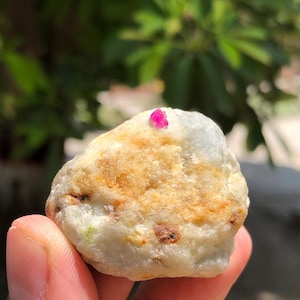 May include: A rough, rounded stone with a textured, off-white and pale yellow surface featuring small brown inclusions and a single, small, vibrant magenta-pink crystal protruding from the top edge of the mineral specimen.