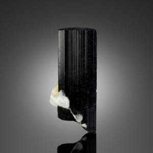 May include: A black tourmaline crystal with a white mineral deposit. The crystal is a dark, glossy black with vertical striations. The white mineral is clustered on the side of the crystal. The crystal is displayed against a grey background.