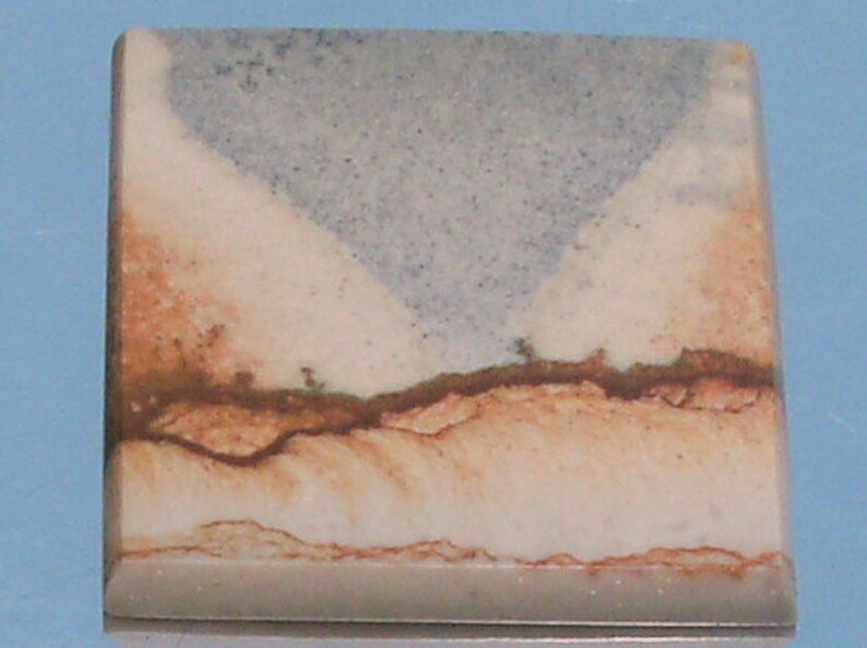 Chicken Track Jasper 31.5 mm x 34 mm x 3.6 mm Landscape Scenic Picture