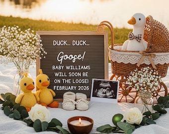 Anuncio de embarazo de Silly Goose: Foto de revelación del bebé 2026 (Imagen digital)
