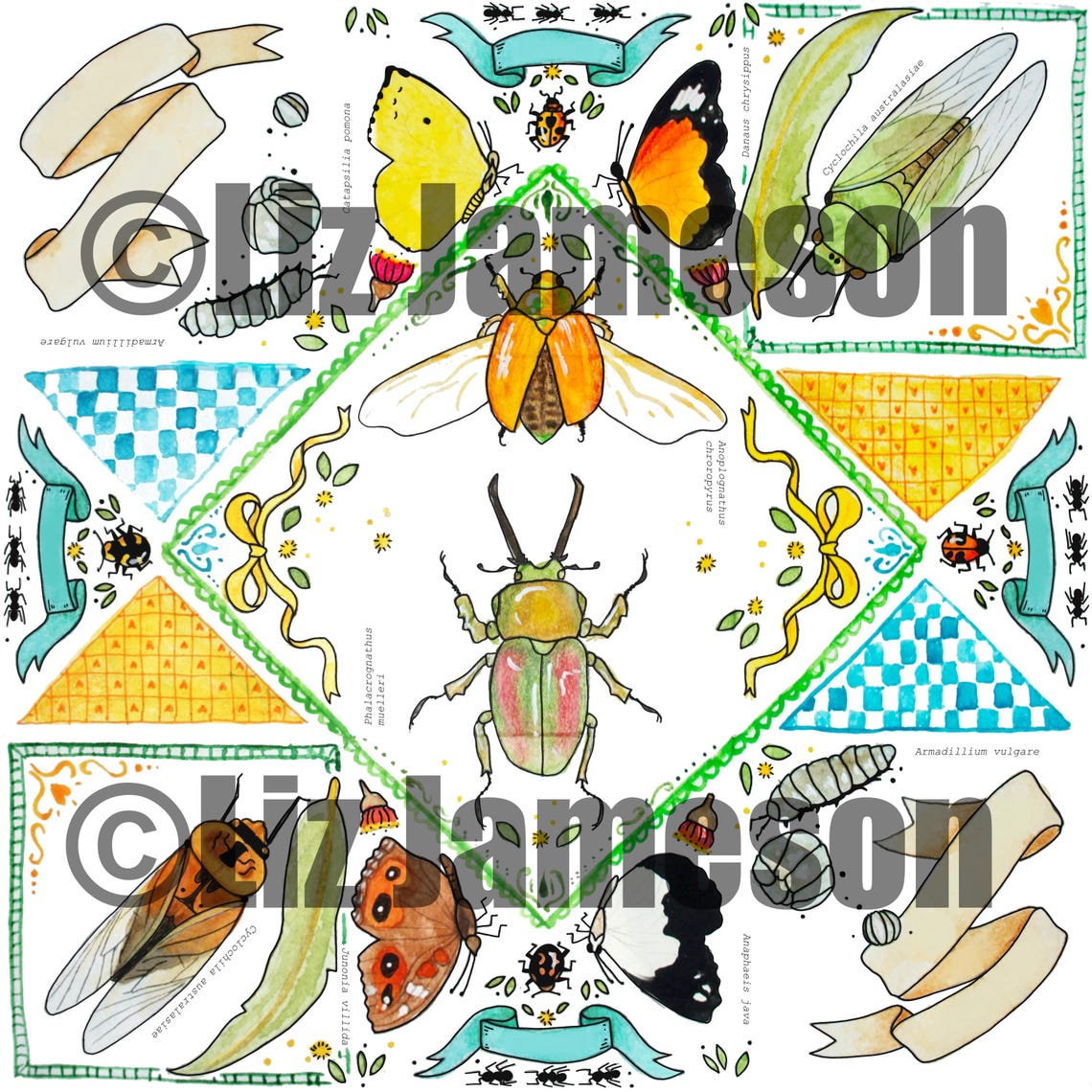 Victorian Puzzle Purse Template - Australian Native Insects - PDF Print ...