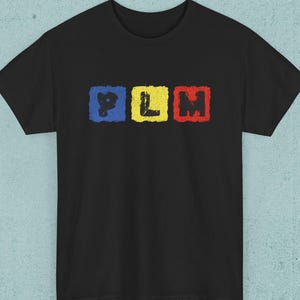 PLM Funny Romanian Saying Flag Shirt, Romania Subtle Meme Tee, Unisex Cotton T-shirt, Gift for Romanian Friend Family