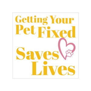 May include: Square graphic with the text "Getting Your Pet Fixed Saves Lives" in yellow. A pink heart with a paw print is next to the text. The background is white.