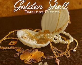 Mystery Jewelry Sea Shell, Jar, Box