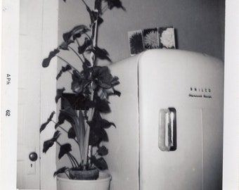 Vintage Photo - Philco Refrigerator Kitchen Decor Still Life - 1960s Original Found Photo - Black & White Snapshot