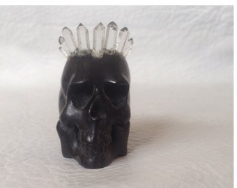 Carved Skull from Water Buffalo Horn with Clear Quartz Crystal Point Crown Taxidermy Curio Oddities Black Skull