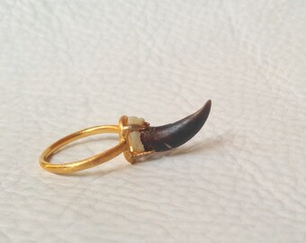 Gold plated Ring setting with Natural Coyote Claw Sterling Silver base Taxidermy Jewelry