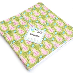 READY to SHIP! Washcloth or Cloth Wipes with Soft Terrycloth -Set of 2 in Heidi Grace- Summer Paisley Pink, Green Pear Halves