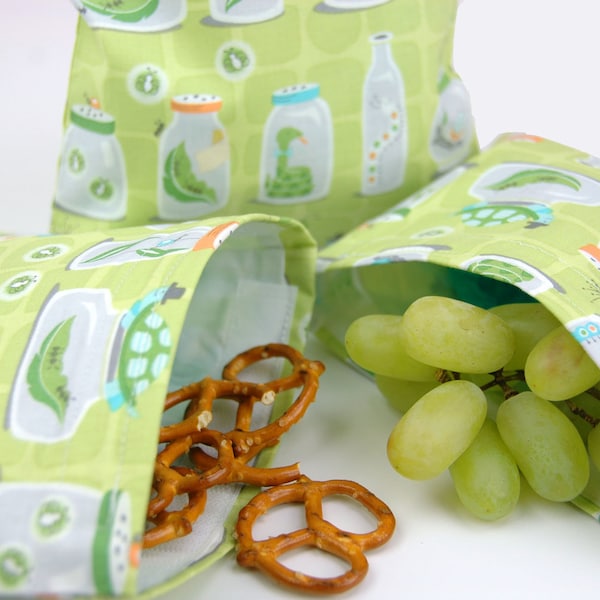 Reusable Sandwich and Snack Sack Kit in Backyard Baby Bug Jars Green by Michael Miller  FREE SHIPPING