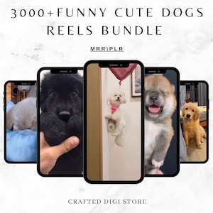 Pacchetto di oltre 3000 video divertenti e carini con cani - Video virali di animali domestici / MRR/PLR / Download digitale per Instagram, TikTok, Shorts