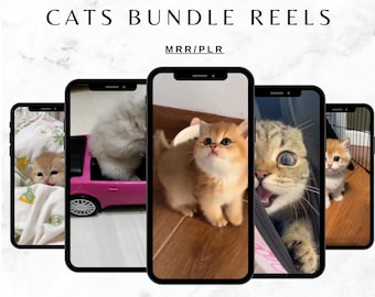 May include: Five smartphone screens displaying short videos of cute cats. The text on the top of the screens reads "1000+ CUTE FUNNY CATS BUNDLE REELS" and "MRR/PLR". The text at the bottom of the screens reads "CRAFTED DIGI STORE".