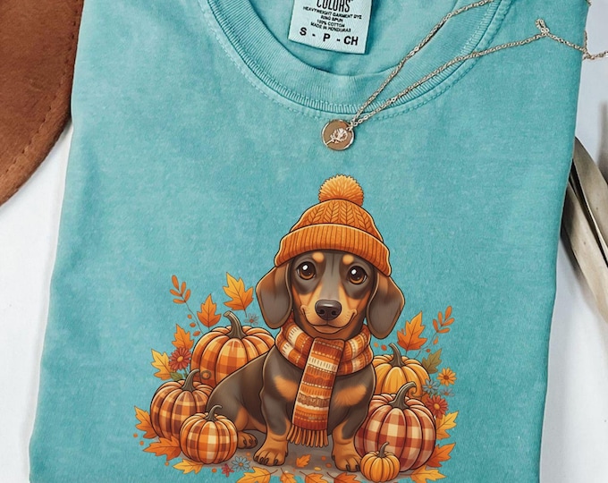 Cozy Fall Dachshund Pumpkin Shirt: Wiener Dog Autumn Tee, Dachshund Mom Crewneck