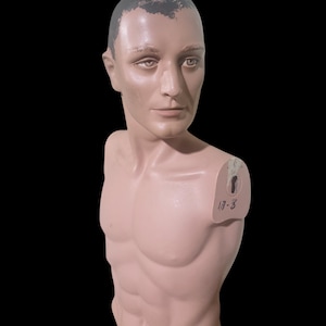 80s Style Male Mannequin Bust – 28” Tall Vintage Display Prop – Retro Editorial Fashion Decor – Sculptural Headform – Wig Hat Stand