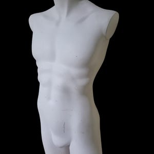 mannequin,fashion, fashion mannequin,  vintage mannequin, male torso mannequin,