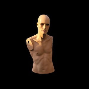 mannequin,fashion, fashion mannequin,  vintage mannequin, male torso mannequin,