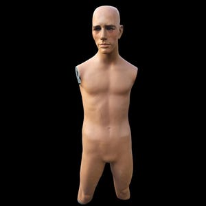 Wolf and vine mannequin,fashion, fashion mannequin,  vintage mannequin, male torso mannequin,