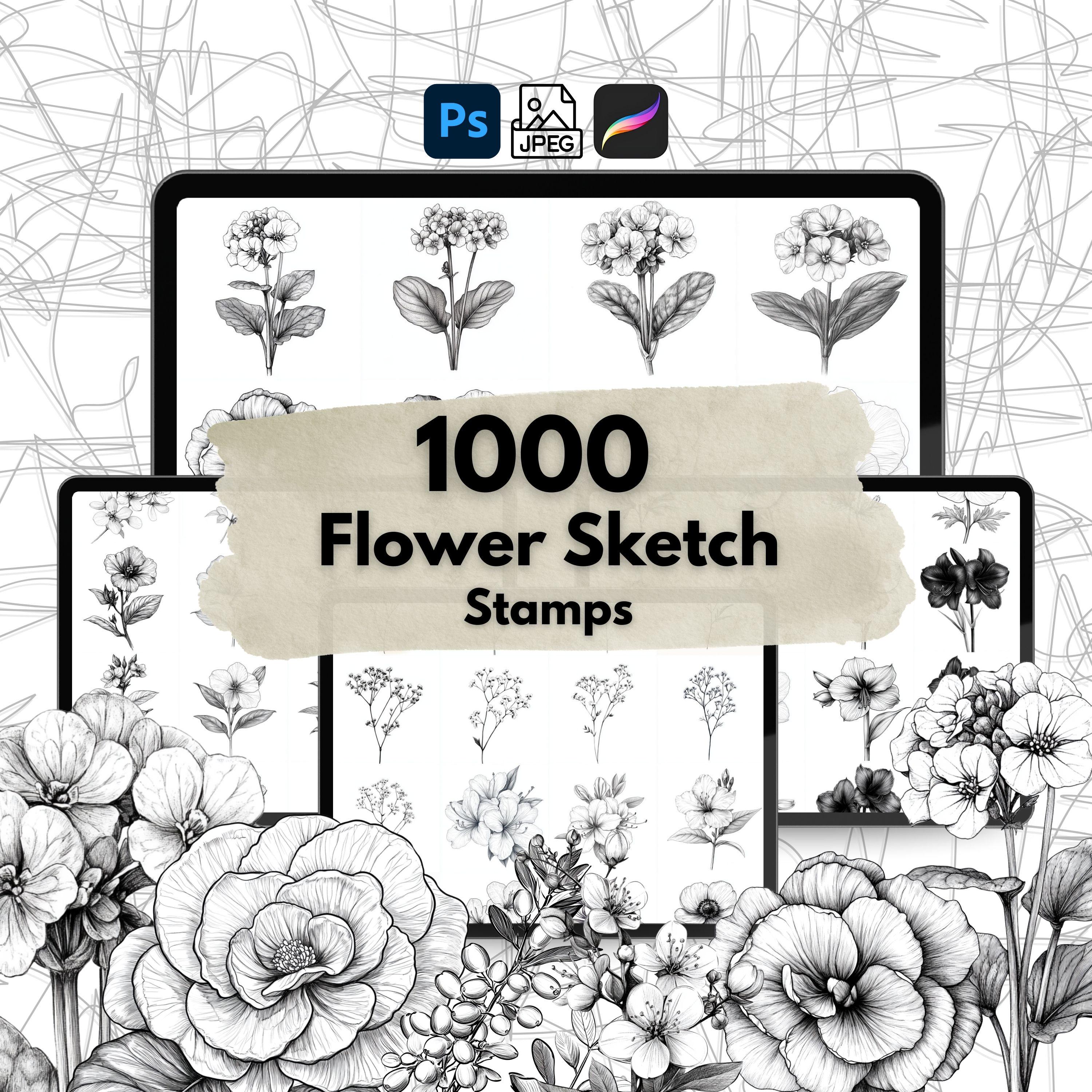 1000+ Flower Sketch Stamps, Procreate Flower Brushes, Photoshop Floral ...