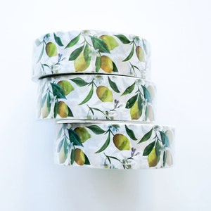 Mango Fruit Washi Tape. Bullet Journal. Plakband. Mini Album Scrapbooking.Office Desk Accessories.Travel Planner. kawaii schoolspullen
